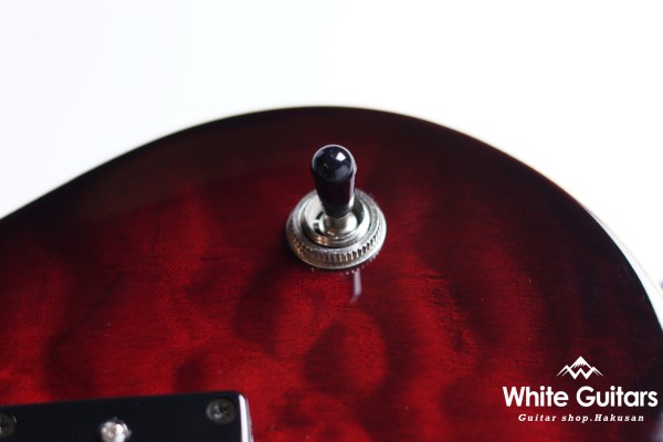 Z22QQ - Trans Red Burst